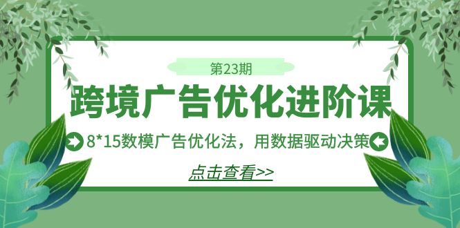 跨境广告·优化进阶课·第23期，8*15数模广告优化法，用数据驱动决策-问小徐资源库