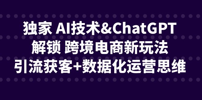 独家 AI技术&ChatGPT解锁 跨境电商新玩法，引流获客+数据化运营思维-问小徐资源库