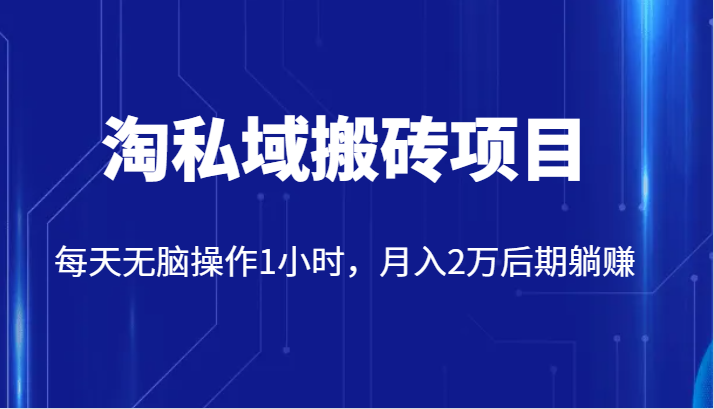 价值2980的淘私域搬砖项目，每天无脑操作1小时，月入2万后期躺赚-问小徐资源库