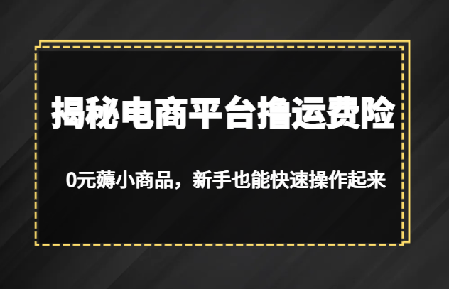 揭秘电商平台撸运费险，0元薅小商品，新手也能快速操作起来-问小徐资源库