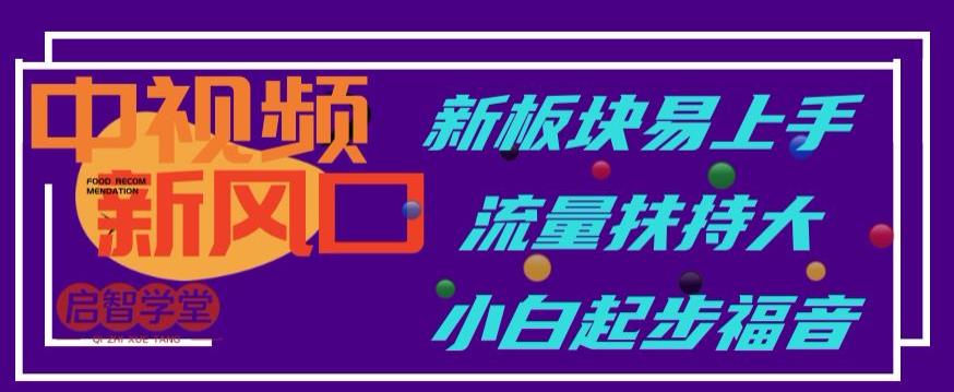 中视频新风口，新板块易上手，流量扶持大，小白起步福音【揭秘】-问小徐资源库