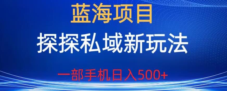 蓝海项目，探探私域新玩法，一部手机日入500+很轻松【揭秘】-问小徐资源库