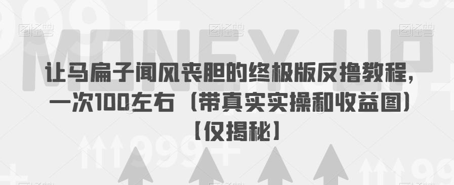 让马扁子闻风丧胆的终极版反撸教程，一次100左右（带真实实操和收益图）【仅揭秘】-问小徐资源库