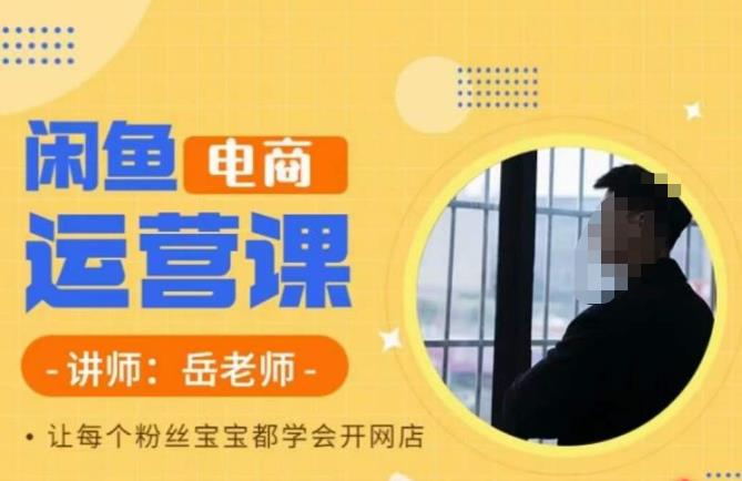 岳老师·闲鱼电商运营课，让每个粉丝宝宝都学会开网店-问小徐资源库