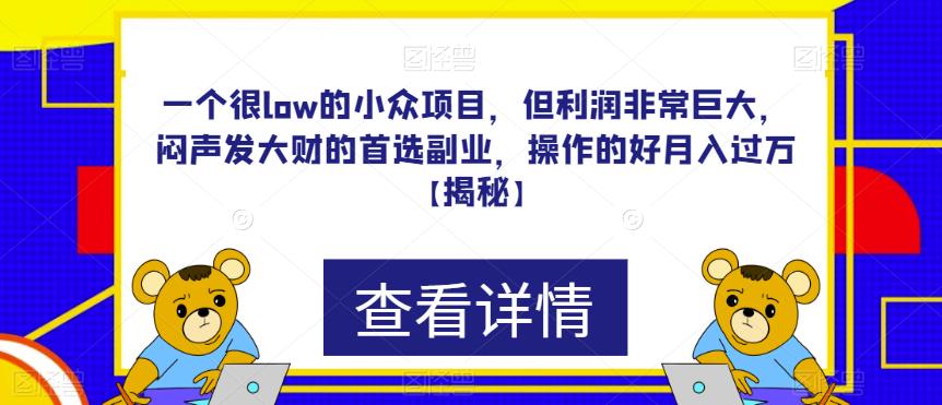 一个很low的小众项目，但利润非常巨大，闷声发大财的首选副业，操作的好月入过万【揭秘】-问小徐资源库