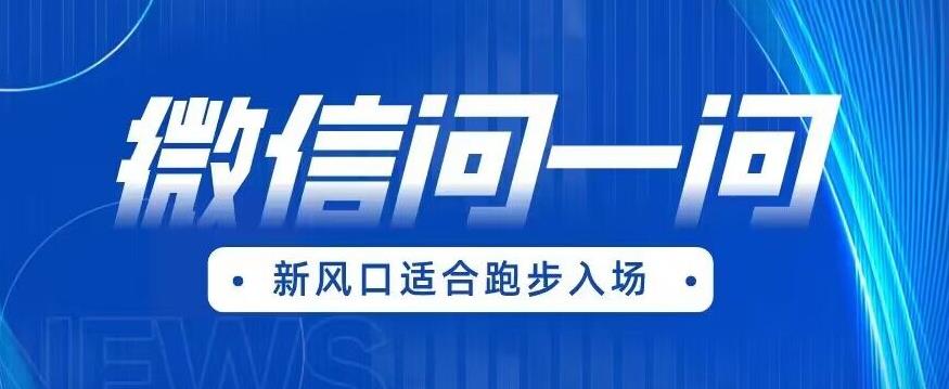 全网首发微信问一问新风口变现项目（价值1999元）【揭秘】-问小徐资源库