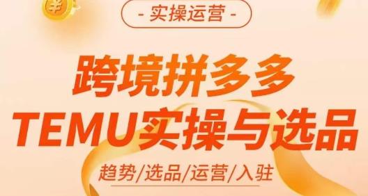伍跃·跨境拼多多TEMU实操与选品，​趋势/选品/运营/入住（27节完整）-问小徐资源库
