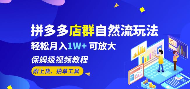 拼多多店群自然流玩法，轻松月入1W+保姆级视频教程（附上货、拍单工具）-问小徐资源库