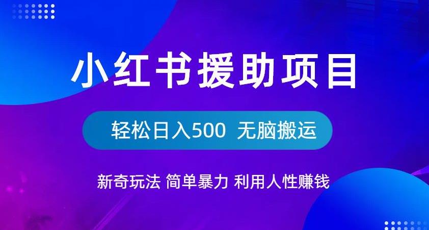 小红书援助项目新奇玩法，简单暴力，无脑搬运轻松日入500【揭秘】-问小徐资源库