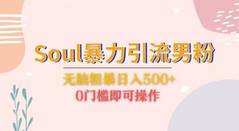 Soul暴力引流男粉玩法，无脑粗暴日入500＋，0门槛即可操作【揭秘】-问小徐资源库