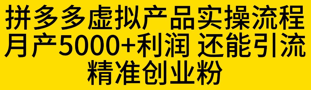 拼多多虚拟产品实操流程，月产5000+利润，还能引流精准创业粉【揭秘】-问小徐资源库