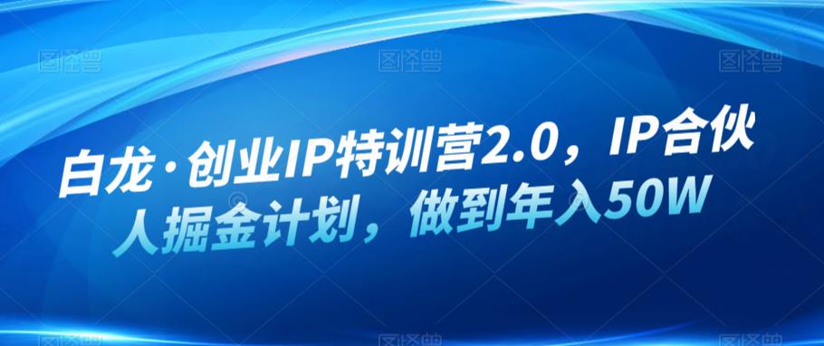 白龙·创业IP特训营2.0，IP合伙人掘金计划，做到年入50W-问小徐资源库