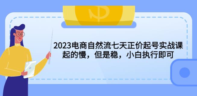 2023电商自然流七天正价起号实战课：起的慢，但是稳，小白执行即可！-问小徐资源库