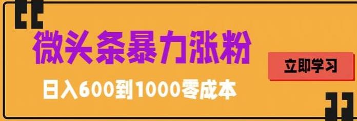 微头条暴力涨粉技巧搬运文案就能涨几万粉丝，简单0成本，日赚600【揭秘】-问小徐资源库