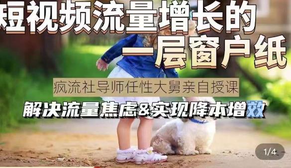 任性大舅·宠物行业短视频运营课(不讲废话)，短视频流量增长的一层窗户纸，解决流量焦虑&实现降本增效-问小徐资源库