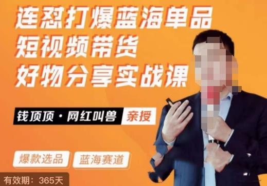 网红叫兽·连怼打爆蓝海单品，短视频带货好物分享实战课-问小徐资源库