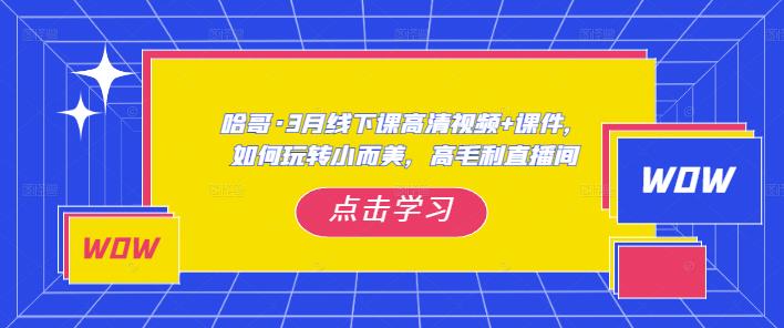 哈哥·3月线下实操课高清视频+课件，如何玩转小而美，高毛利直播间-问小徐资源库