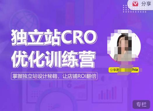 独立站CRO优化训练营，掌握独立站设计秘籍，打造高转化的独立站，让店铺ROI翻倍-问小徐资源库